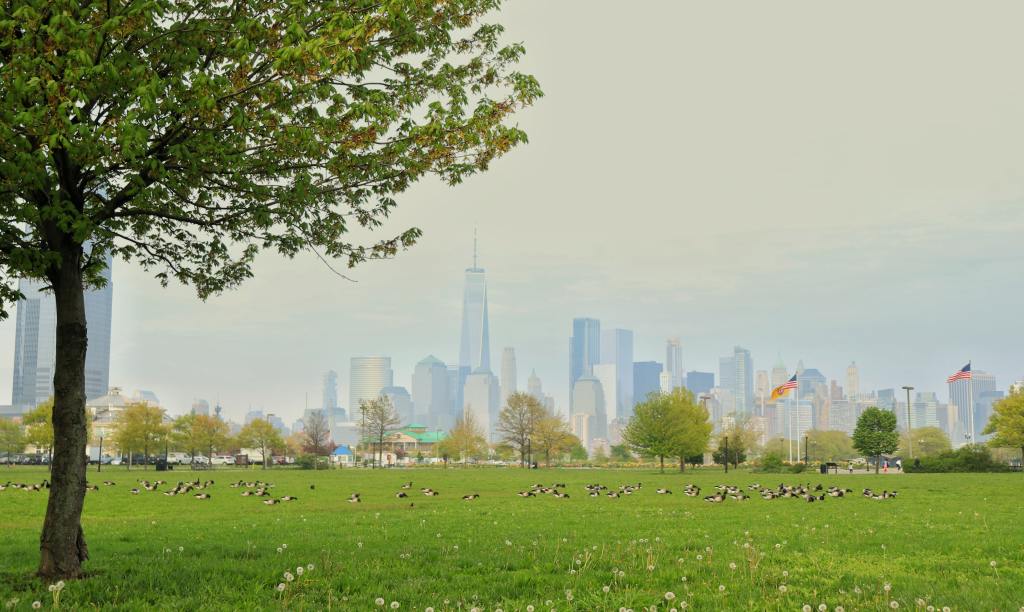 Photo by Srivankumar Hiregoudar on Unsplash.